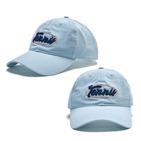 Cappellino da camionista personalizzato con LOGO, estivo, leggero, traspirante, con lettere ricamate in 3D, ad asciugatura rapida, sportivo, da baseball
