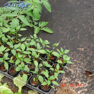 Unkrautbekämpfung stoff/landschaft bodendecker/PP spinnvlies - Product Image 3