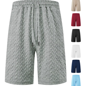 Shorts de plage décontractés pour hommes 2026, en toile unie, coupe ample, taille haute, anti-plis, avec cordon de serrage et broderie, en stock pour l'été - Product Image 1