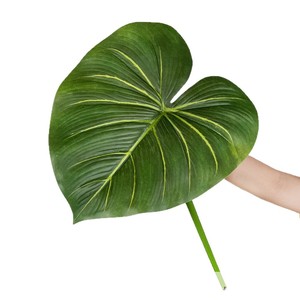 Plante artificielle, petites feuilles de taro, 30 cm-100 cm, décoration intérieure et extérieure, plante en pot, décoration de la maison - Product Image 5