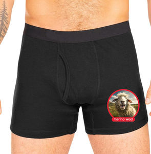 Boxers respirants CELINNE pour hommes, sous-vêtements à ouverture frontale, sous-vêtements en laine mérinos de qualité supérieure pour hommes - Product Image 1