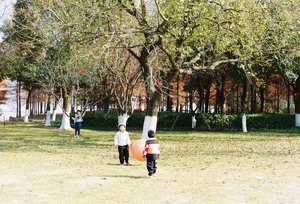 ฟิล์มสี 35 มม. 36 ภาพ CN400 ProMax ฟิล์มเนกาทีฟสี ISO400 กระบวนการ C41 ฟิล์มม้วน 135 - Product Image 6