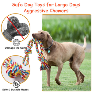 Jouet pour chien en corde de coton écologique de haute qualité, interactif et d'entraînement, pour la mastication, pour l'intérieur et l'extérieur - Product Image 4