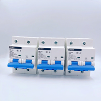 Disjoncteur CHINT NXB-125 1P DC 1000V MCB 100A 80A Courbe D Matériau PA66 Capacité de coupure 10kA Protection Li Montage sur rail