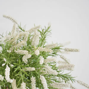 Flor artificial Paquete de alta calidad Flor de caña Rayón Flor de maltgrass Decoración DE BODA Much - Product Image 6