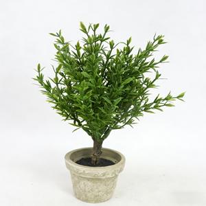 Plantes d'épices artificielles 21CM, <span class=keywords><strong>romarin</strong></span> vert foncé, petit arbre, pot en pulpe vintage, bonsaï, ornement de bureau d'intérieur - Product Image 2