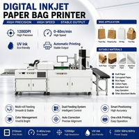 Imprimante jet d'encre industrielle pour sacs en papier, équipement de production d'emballage tout-en-un à haute vitesse avec encre UV, garantie 1 an