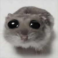 Peluche Meme Hamster Triste avec Musique et Chansons, Jouet en Peluche Hamster aux Grands Yeux