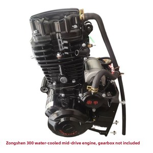 Motor de Motocicleta/Triciclo Nuevo y Original [Eje Medio 300, Refrigerado por Agua, 1 Cilindro] Garantía de Fábrica Original, Nuevo y de Primera Calidad - Product Image 1