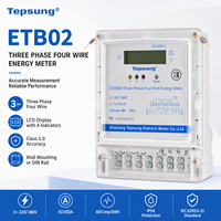 Compteur d'énergie numérique triphasé à quatre fils Tepsung ETB02, classe 1.0, 5A 100A 50 60Hz, certifié IEC, montage mural, surveillance de la puissance