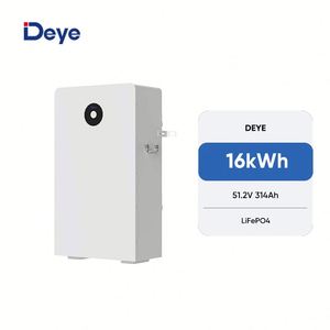 Deye RW-F16 16kwh Battery Storage 51.2v 314ah Wall Mounted Battery for Residential ESS System in Warehouse - Product Image 1