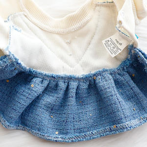 厂家批发新款保暖毛绒高贵小狗服装裙子冬季宠物服装连衣裙小狗服装奢华宠物服装 - Product Image 5