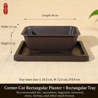 Pots à fleurs rectangulaires carrés pour plantes succulentes, en résine céramique, design respirant, plastique épaissi, écologique, style chinois rustique