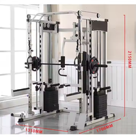 PINJIAN Machine de musculation multifonctionnelle Smith Équipement d'entraînement complet pour la maison avec fonction d'entraînement des triceps