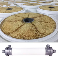Module de filtration de purification par ultrafiltration et nanofiltration en céramique, membrane UF à fibres creuses PVDF PAN 4040 8040, vente en gros