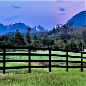 Panneau de clôture de paddock de cheval de ferme en PVC de 4x8ft Clôture d'allée noire à 3 et 4 rails avec technique d'extrusion pour les allées de ranchs - Product Image 4