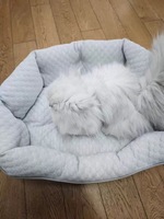Coussin Nid Douillet pour Animaux de Compagnie Color Block avec Bordure Haute et Poignées de Transport Portables pour Chiots et Chatons d'Intérieur – Vente en Gros