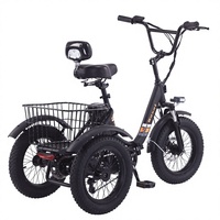 Nouveau modèle ER-214 Vélo à neige électrique pour adulte avec assistance au pédalage, moteur avant, pneus larges, tricycle, alimenté par batterie au lithium, panier utilitaire