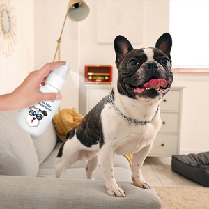 <span class=keywords><strong>Spray</strong></span> <span class=keywords><strong>anti</strong></span>-<span class=keywords><strong>puces</strong></span> et <span class=keywords><strong>anti</strong></span>-tiques pour chats et chiens OEM/ODM - 175 ml - Product Image 6