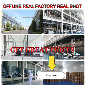 高品質天然イチョウ葉食品グレード24％フラボン6％ラクトンイチョウ葉エキス - Product Image 6