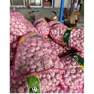 Оптовая продажа премиум качества новые свежие овощи чеснок с дешевой ценой - Product Image 4