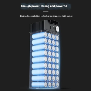 Silver Fish E Bike <b>Battery</b> 500w <b>24v</b> 36v 48v 10ah 13ah Ebike <b>Battery</b> - Product Image 2