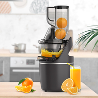 Hoge-opbrengst, druppelvrije, koudgeperste slowjuicer, 240W, stille werking, eenvoudige installatie, elektrisch huishoudelijk gebruik