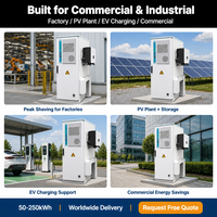 100kwh 150kWh 240kwh 300 kwh 300kWh 400kwh 500 kw 500kWh 600kwh Kabinet Baterai Lithium Ion untuk Komersial dan Industri