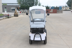 Nuevo Autobús Turístico de 6 Plazas, Carro de Golf para Club de Caza, Buggy de Golf - Product Image 1
