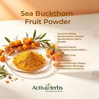 ActivaHerbs Natuurlijk Duindoornvruchtenpoeder Duindoornbessenpoeder Hippophae Rhamnoides voor Voedingssupplement