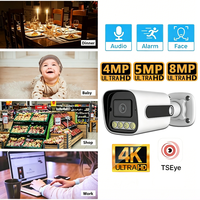 TSEye 4K 8MP IP66 4CH NVR Kit IP-Sicherheitsnetzwerkkamera mit Menschlicher Bewegungserkennung POE Überwachungskamerasystem
