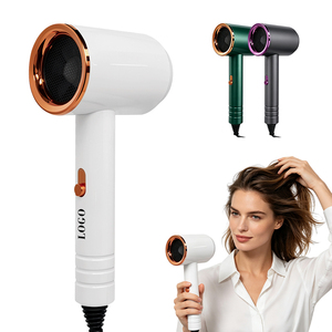 0728 Custom <b>Brushed</b> Motor Multifunctional Blow Dryer Anti Frizz Portable Hair Blower <b>Smooth</b> Compact Styler for Hotel Use - Product Image 1