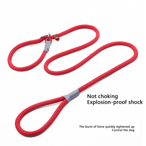 Guinzaglio di Lusso per Cani in Poliestere, Resistente ed Efficace per Controllare le Repulsive Accelerazioni del Cane - Product Image 1