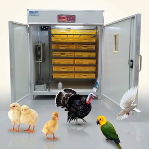 Incubateur de ferme volaille <span class=keywords><strong>20000</strong></span> automatique, Offre Spéciale œufs, bon marché - Product Image 1