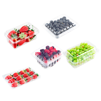 Emballage agricole personnalisé en plastique PET transparent, conteneur pour fruits (myrtilles, fraises, raisins), boîte à clapet