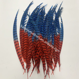 Chất Lượng Cao Hai Tone Nhuộm Ngựa Vằn Gà lôi Lông Plumas Cho Lễ Hội Trang Trí Nội Thất - Product Image 4