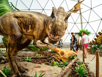 Acquista T-Rex Animatronico Realistico 4M per Parchi a Tema, Fornitore di Dinosauri Animatronici per Spettacoli all'Aperto