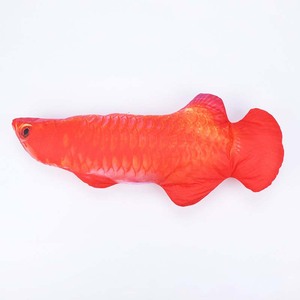 Coussin interactif en peluche de <span class=keywords><strong>poisson</strong></span> pour chat, <span class=keywords><strong>jouet</strong></span> à mâcher en coton, motif dessin animé, vente en gros - Product Image 6