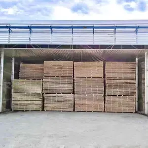 China Made Hoch effizienter Temperatur-Feuchtigkeitsregler-Holz trockner