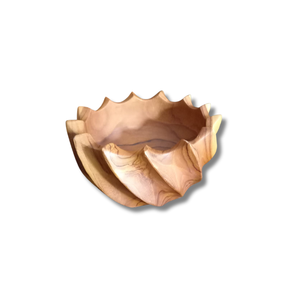 Bol en teck A, avec grain de bois naturel et un design élégant. Parfait pour servir des salades, des fruits ou comme centre de table. - Product Image 1