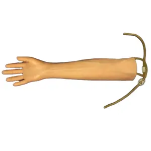 Model of arm vein puncture Intramuscular Injection Training Model