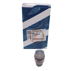 Soupape de décharge de pression du rail commun de carburant 1110010028 pour V837079623 5317174 - Product Image 4