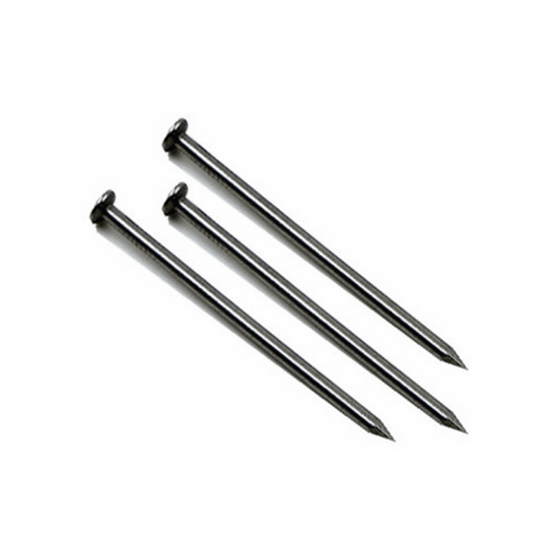 Iron Wire Nails supply white Galvanized