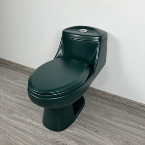 <span class=keywords><strong>Toilette</strong></span> siphonique monobloc à économie <span class=keywords><strong>d</strong></span>'<span class=keywords><strong>eau</strong></span> <span class=keywords><strong>vert</strong></span> foncé pour les maisons modernes et élégantes - Product Image 2