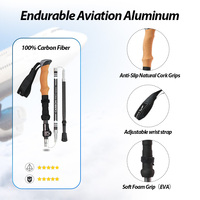 Bâtons de randonnée pliables en carbone 3K ultralégers à 5 sections, style nordique personnalisé