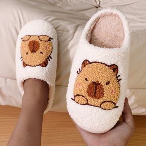 Nouvelles pantoufles en fourrure pour femmes avec semelle TPR de qualité supérieure, doublure en peluche, pantoufles d'intérieur pour femmes de qualité supérieure - Product Image 4