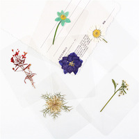 Bunga Kering Asli A-1054, Kelopak Bunga Terpres, Bunga Daisy, Mawar, Hydrangea Kecil Tunggal yang Diawetkan