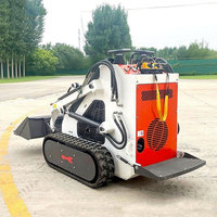 Mini-chargeuse compacte à chenilles avec moteur essence EPA EURO5, boîte de vitesses PLC, pompe et roulement, livraison gratuite, prix abordable