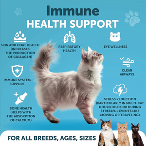 L-Lisina Taurina Pó Suplemento para Gatos 900mg por porção Suporte Imunológico Saúde Respiratória Narizes Corridos Olhos Aquosos Olho Frio - Product Image 2