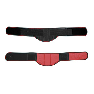 Self <b>Heating</b> Lumbar <b>Support</b> Belt Breathable Magnetic Warm For <b>Back</b> Pain Relief Waist Protection Adult Size MLXL Battery Powered - Product Image 1